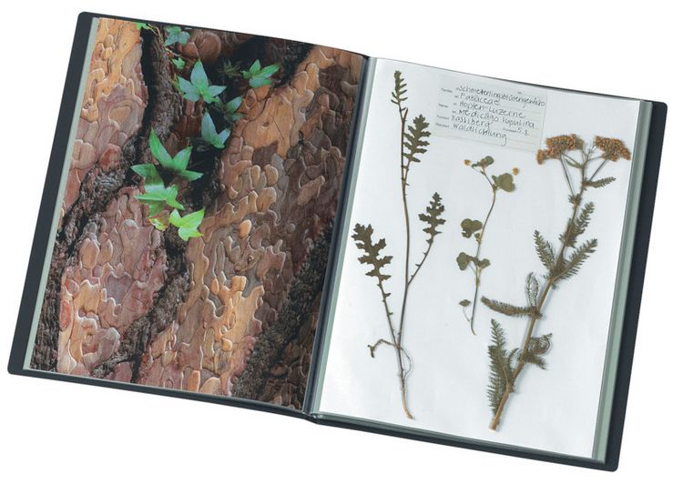 Produktbild: Sichtbuch Selection A4 Recycl.