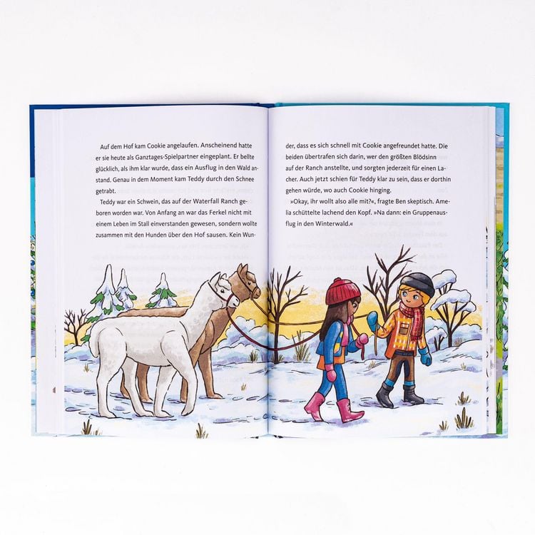 Produktbild: PLAYMOBIL Horses of Waterfall. Weihnachtswunder auf dem Reiterhof