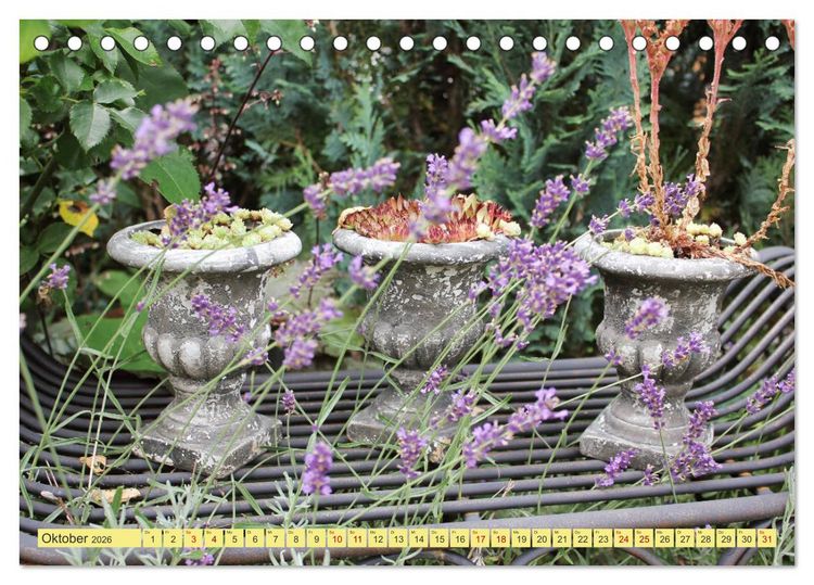 Produktbild: Gartentr&auml;umerei (Tischkalender 2026 DIN A5 quer), CALVENDO Monatskalender