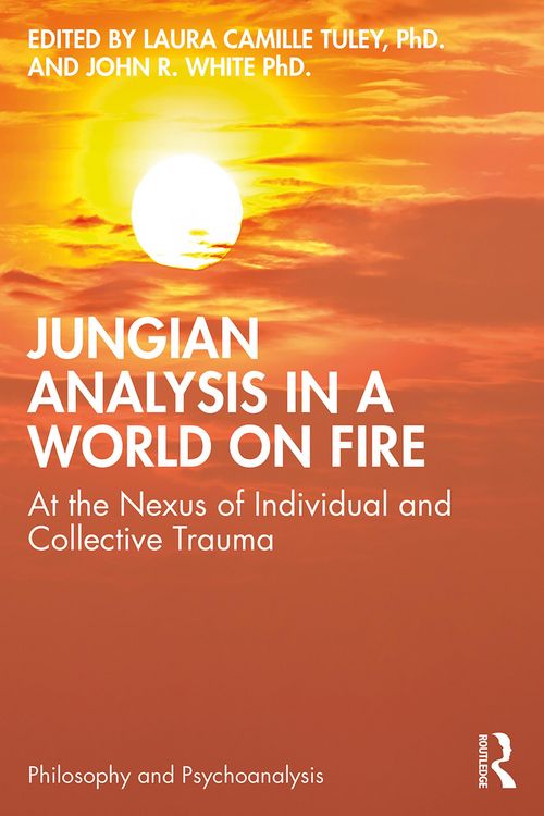 Produktbild: Jungian Analysis in a World on Fire