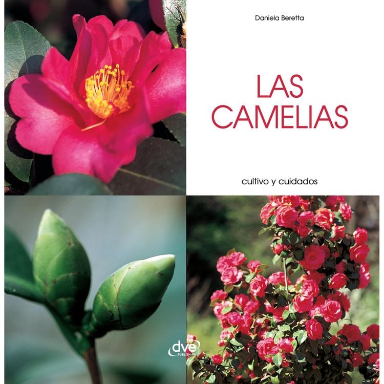 Produktbild: Las camelias - Cultivo y cuidados