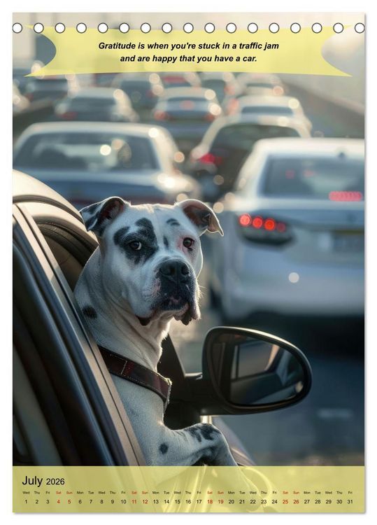 Produktbild: A year of greatfullness with funny animals (Desk Calendar 2026 DIN A5 portrait), CALVENDO 12 Month DeskCalendar