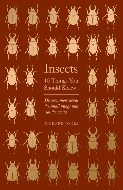 Produktbild: Insects