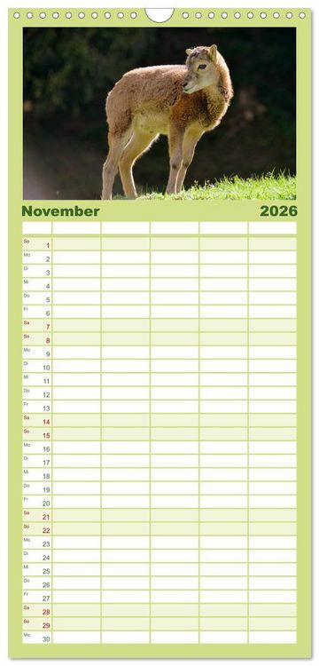 Produktbild: Familienplaner 2026 - Die lieben Kleinen ... Tierkinder einfach zum Knuddeln mit 5 Spalten (Wandkalender, 21 x 45 cm) CALVENDO