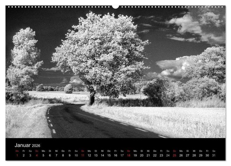 Produktbild: Objekte in schwarz weiss (hochwertiger Premium Wandkalender 2026 DIN A2 quer), Kunstdruck in Hochglanz