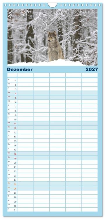 Produktbild: Familienplaner 2027 - Kanadische W&ouml;lfe im Winter mit 5 Spalten (Wandkalender, 21 x 45 cm) CALVENDO