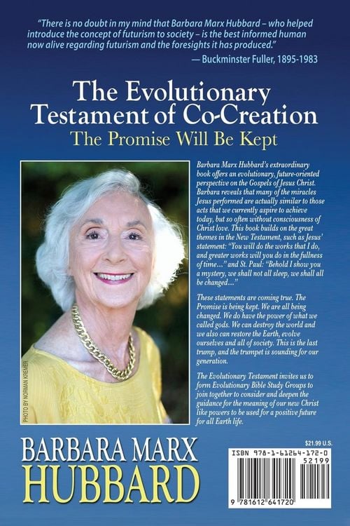 Produktbild: The Evolutionary Testament of Co-creation