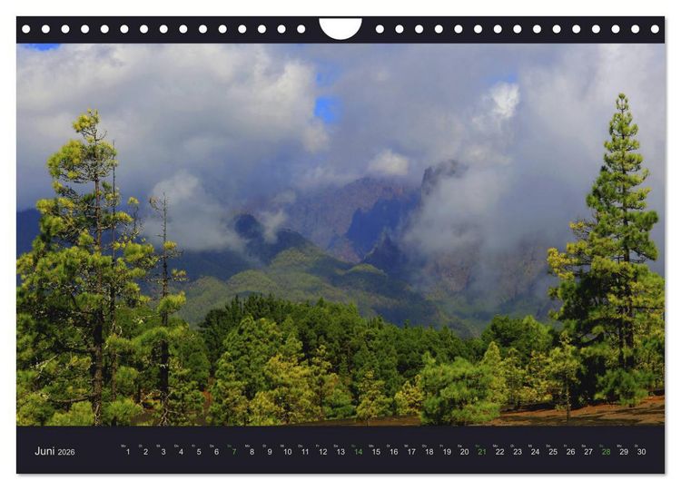 Produktbild: wildes La Palma (Wandkalender 2026 DIN A4 quer), CALVENDO Monatskalender