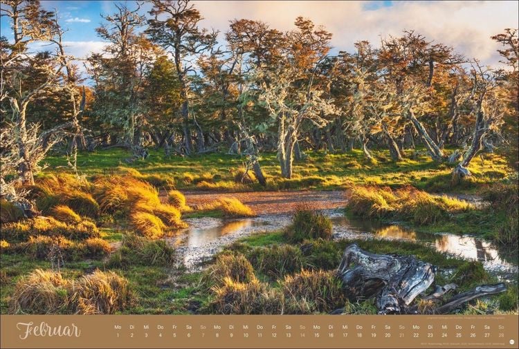 Produktbild: Zauberw&auml;lder Edition Kalender 2027