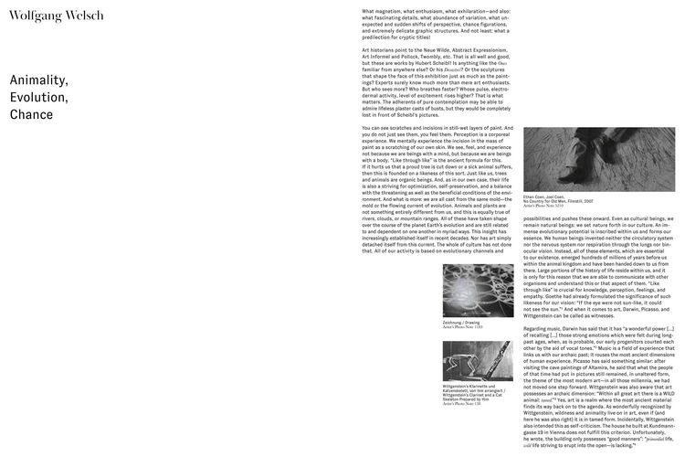 Produktbild: Shrinking Vienna