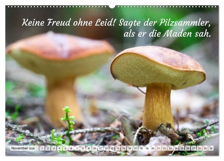 Produktbild: Junge, was hast du`s eilig (Wandkalender 2026 DIN A2 quer), CALVENDO Monatskalender