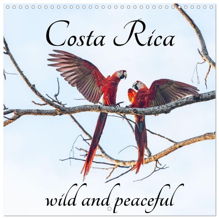 Produktbild: Costa Rica wild and peaceful (Wall Calendar 2027 12 &times; 12 Inch) CALVENDO 12 Month Wall Calendar