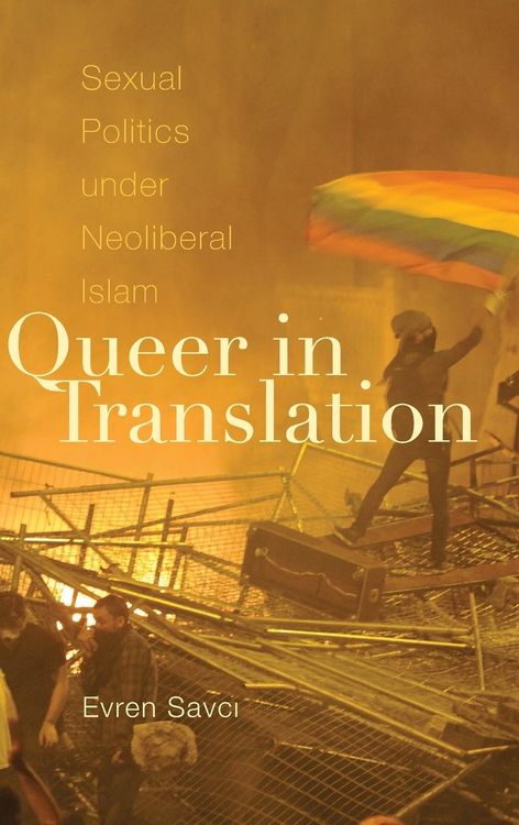 Produktbild: Queer in Translation