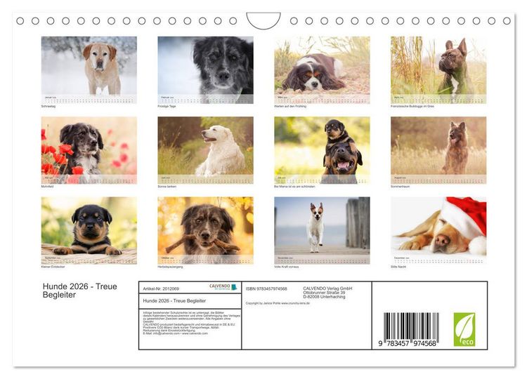 Produktbild: Hunde 2026 - Treue Begleiter (Wandkalender 2026 DIN A4 quer), CALVENDO Monatskalender