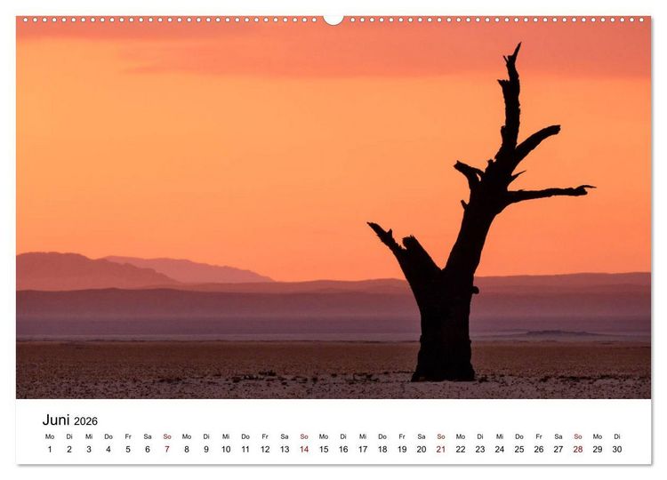 Produktbild: B&auml;ume in Namibias Landschaften (Wandkalender 2026 DIN A2 quer), CALVENDO Monatskalender