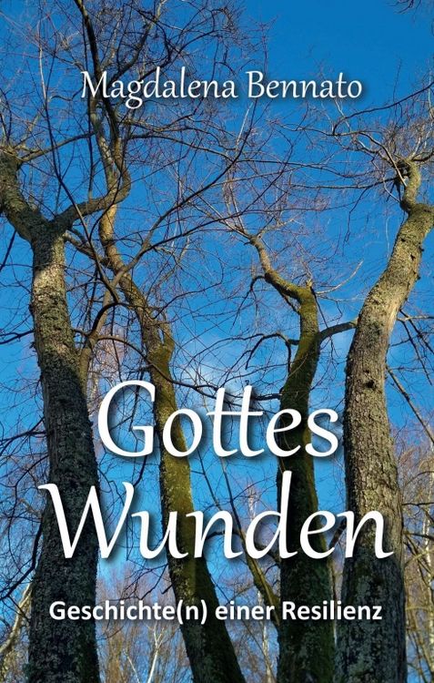 Produktbild: Gottes Wunden