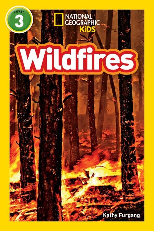 Produktbild: Wildfires (National Geographic Kids Readers, Level 3)