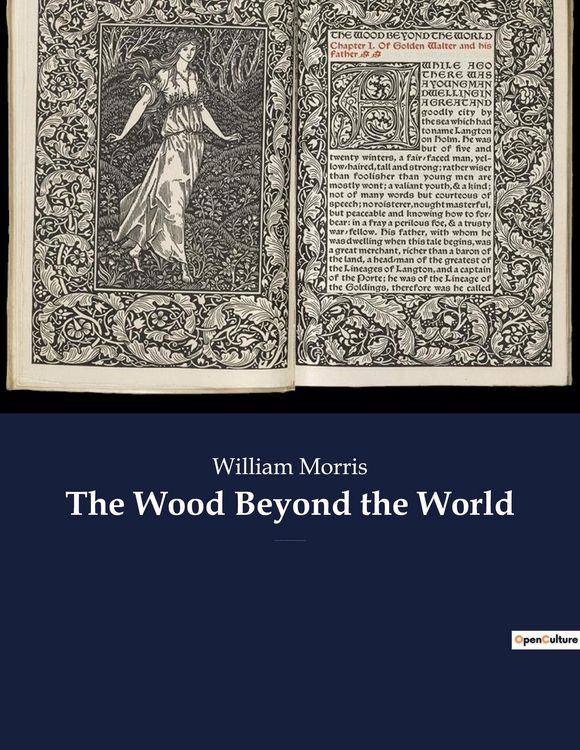 Produktbild: The Wood Beyond the World