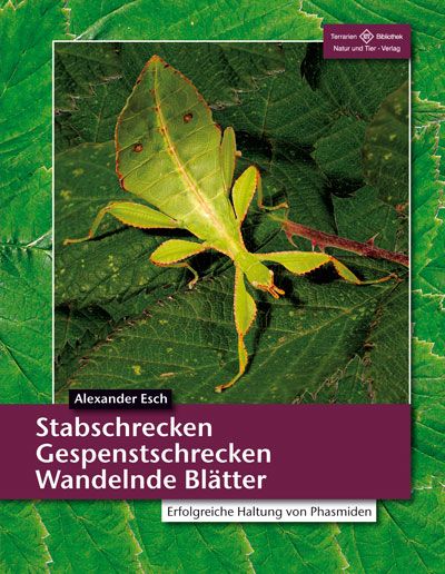 Produktbild: Stabschrecken, Gespenstschrecken, Wandelnde Bl&auml;tter
