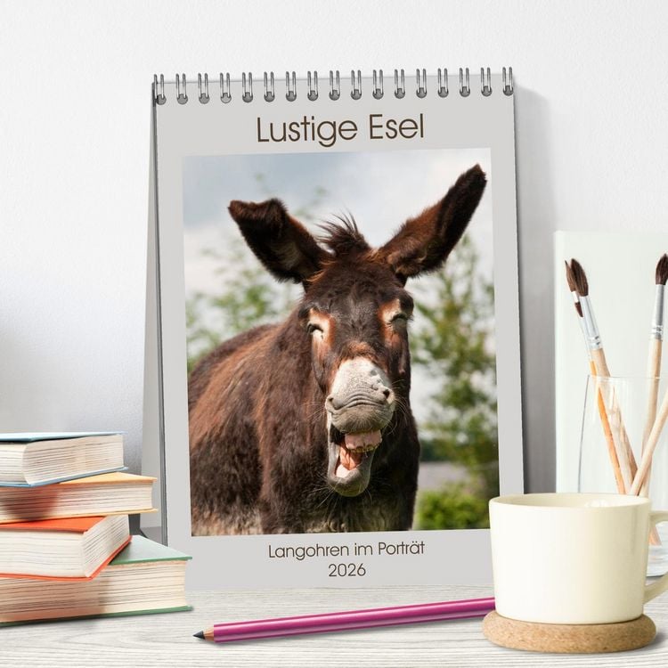 Produktbild: Lustige Esel - Langohren im Portr&auml;t (Tischkalender 2026 DIN A5 hoch), CALVENDO Monatskalender