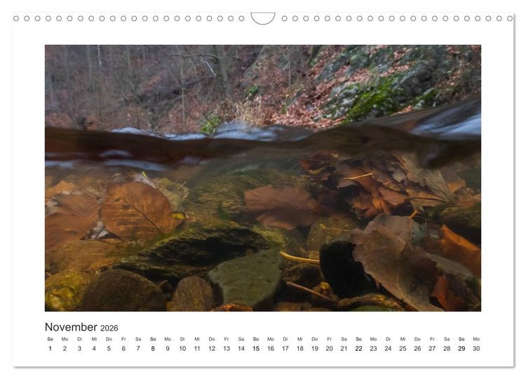 Produktbild: Unter Wasser in B&auml;chen und Fl&uuml;ssen (Wandkalender 2026 DIN A3 quer), CALVENDO Monatskalender