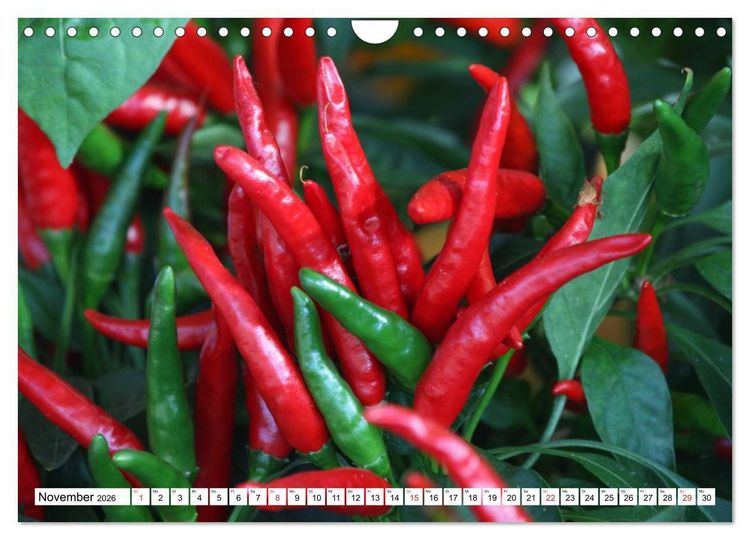 Produktbild: F&uuml;r Chili Liebhaber (Wandkalender 2026 DIN A4 quer), CALVENDO Monatskalender