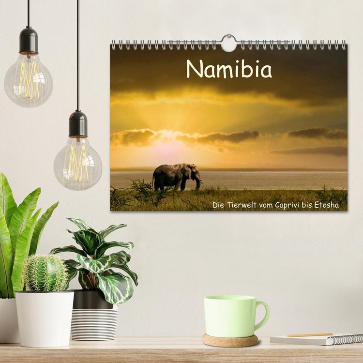 Produktbild: Namibia &ndash; Die Tierwelt vom Caprivi bis Etosha (Wandkalender 2026 DIN A4 quer), CALVENDO Monatskalender