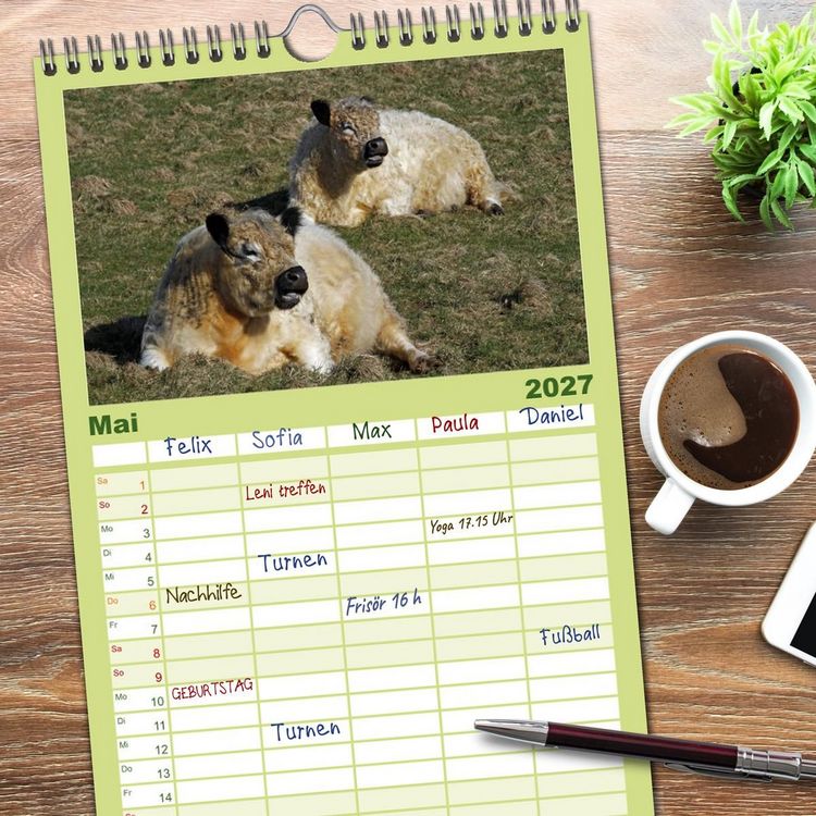 Produktbild: Familienplaner 2027 - Muuuhhh! mit 5 Spalten (Wandkalender, 21 x 45 cm) CALVENDO
