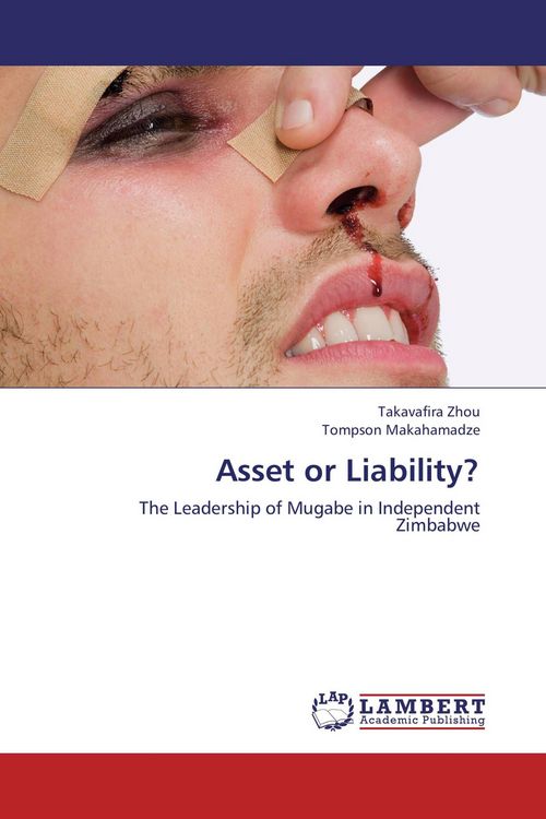 Produktbild: Asset or Liability?