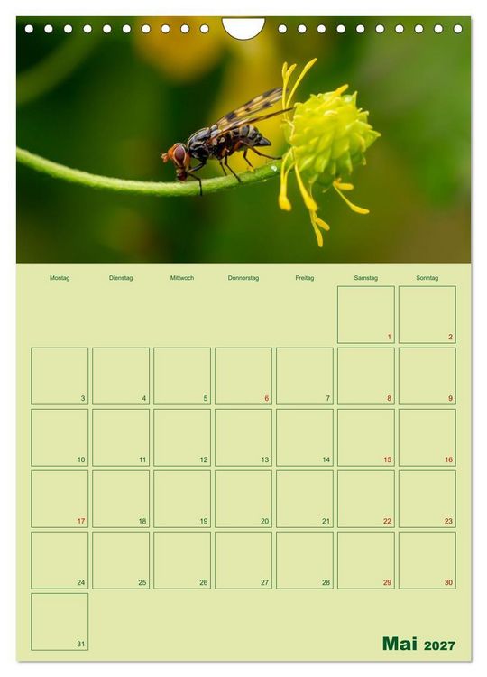 Produktbild: Die Welt der Insekten (Wandkalender 2027 DIN A4 hoch), CALVENDO Monatskalender