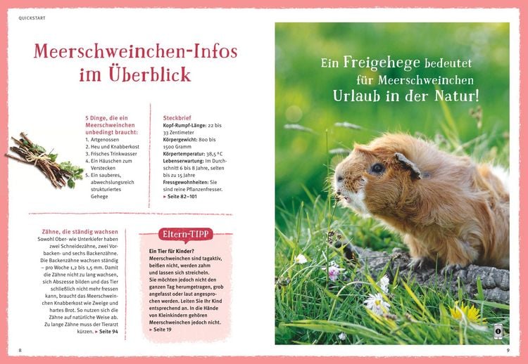 Produktbild: Neugierige Meerschweinchen