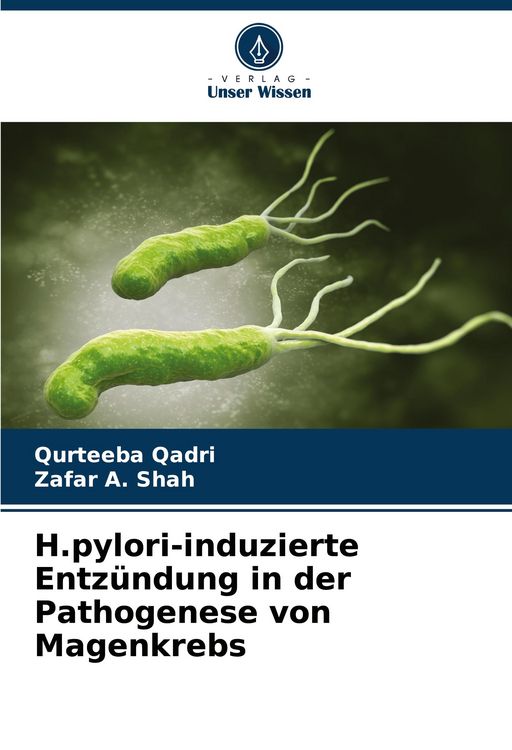 Produktbild: H.pylori-induzierte Entz&uuml;ndung in der Pathogenese von Magenkrebs