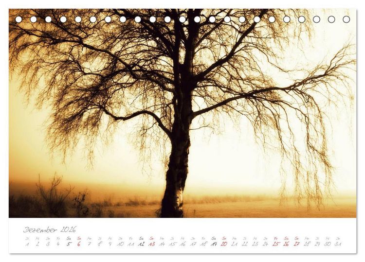 Produktbild: Teufelsmoor Impressionen (Tischkalender 2026 DIN A5 quer), CALVENDO Monatskalender