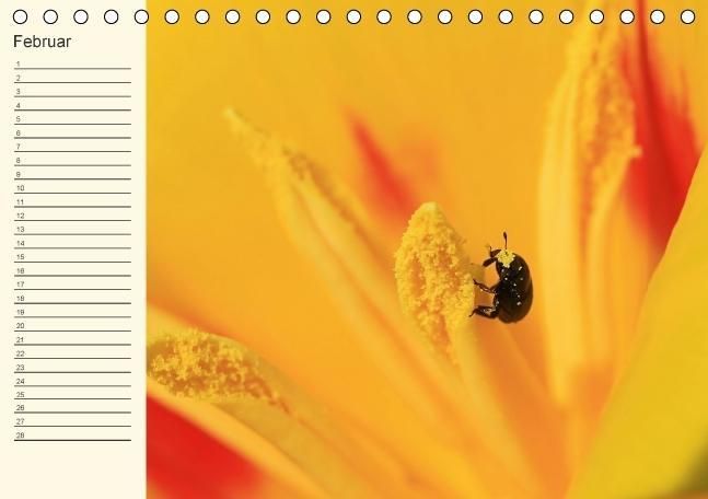 Produktbild: Geburtstagskalender "Nette Kleinigkeiten" (Tischkalender immerw&auml;hrend DIN A5 quer)
