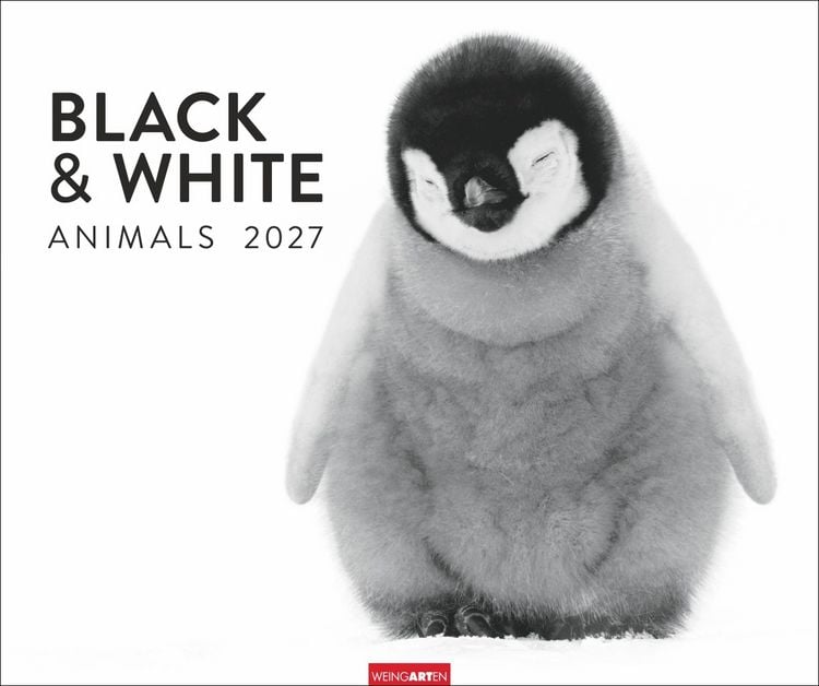 Produktbild: Black & White Animals 2027