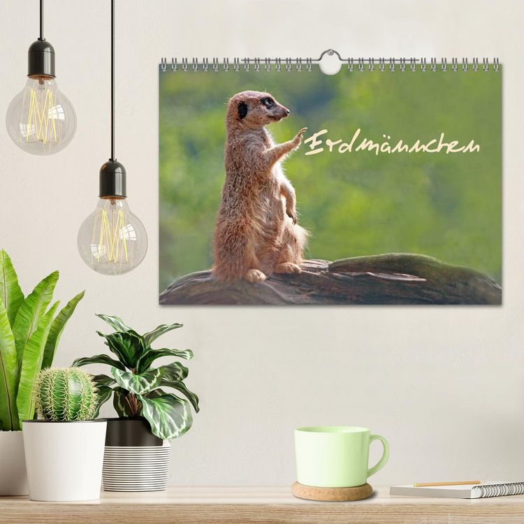 Produktbild: Erdm&auml;nnchen (Wandkalender 2026 DIN A4 quer), CALVENDO Monatskalender