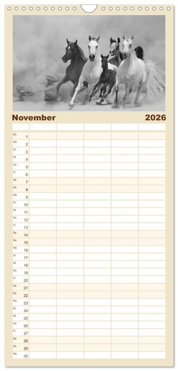 Produktbild: Familienplaner 2026 - Arabische Pferde mit 5 Spalten (Wandkalender, 21 x 45 cm) CALVENDO