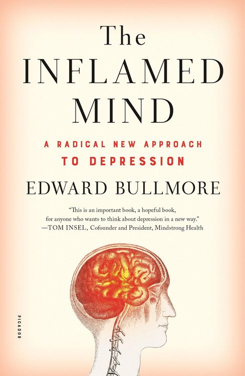 Produktbild: The Inflamed Mind