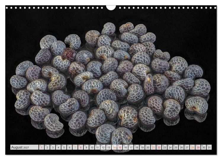 Produktbild: Zauber der kleinen Dinge (Wandkalender 2027 DIN A3 quer), CALVENDO Monatskalender