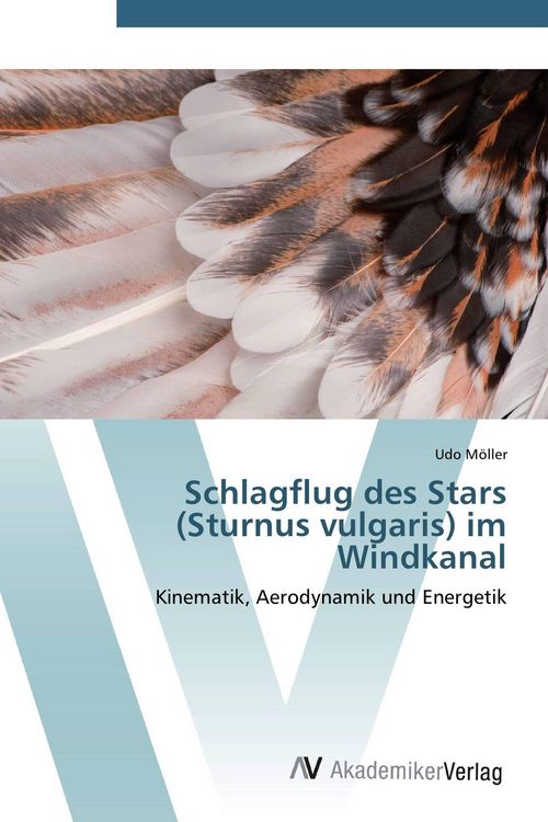 Produktbild: Schlagflug des Stars (Sturnus vulgaris) im Windkanal
