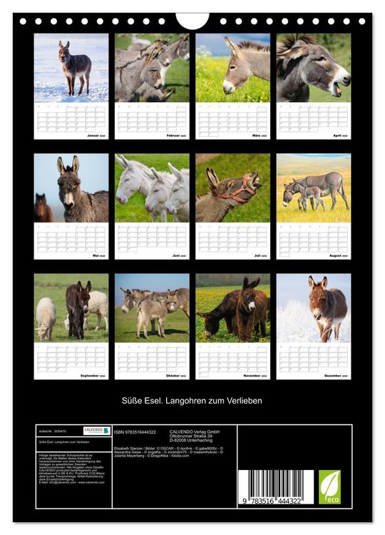 Produktbild: S&uuml;&szlig;e Esel. Langohren zum Verlieben (Wandkalender 2026 DIN A4 hoch), CALVENDO Monatskalender