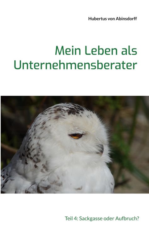 Produktbild: Mein Leben als Unternehmensberater