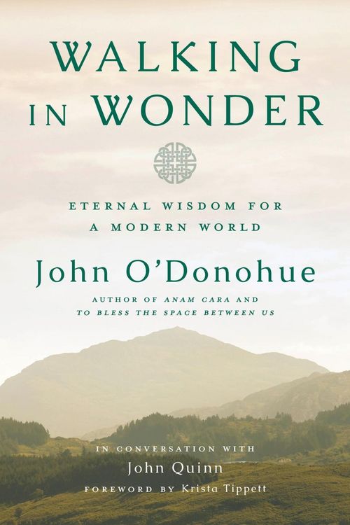 Produktbild: Walking in Wonder