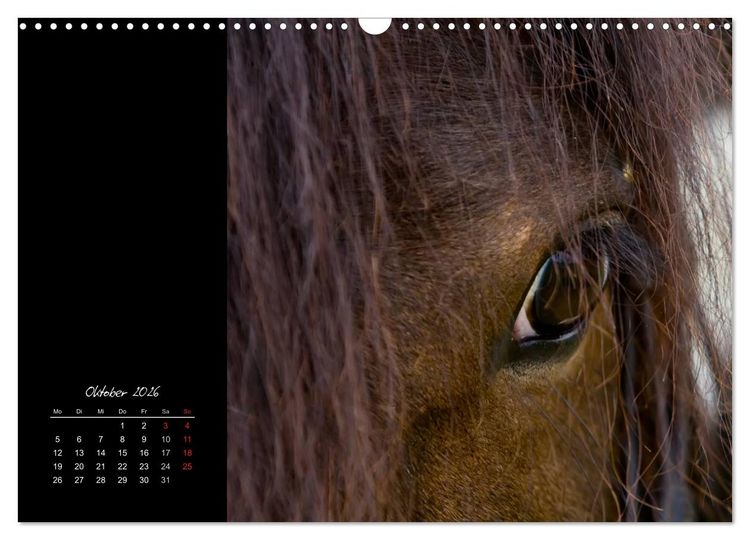 Produktbild: Irish Tinker (Wandkalender 2026 DIN A3 quer), CALVENDO Monatskalender