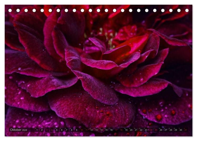 Produktbild: Gothic Rose - Rosen aus dem Garten der Finsternis (Tischkalender 2026 DIN A5 quer), CALVENDO Monatskalender