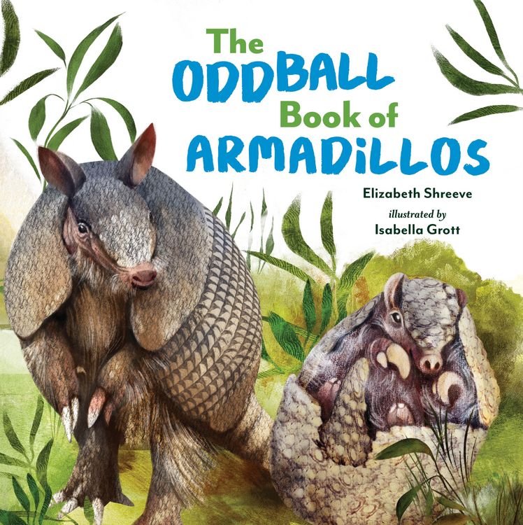 Produktbild: The Oddball Book of Armadillos