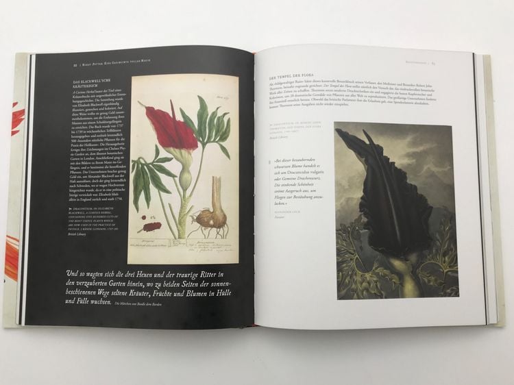 Produktbild: Harry Potter: Eine Geschichte voller Magie