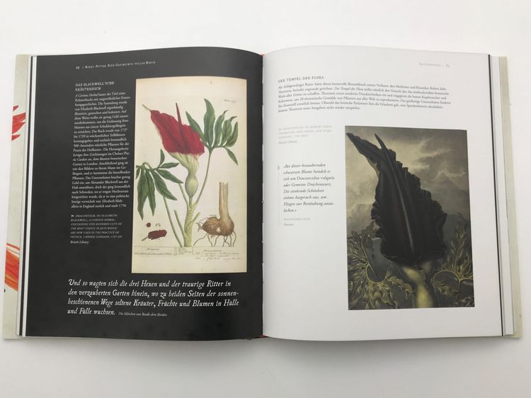 Produktbild: Harry Potter: Eine Geschichte voller Magie