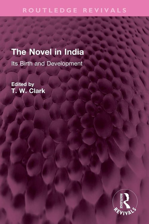 Produktbild: The Novel in India