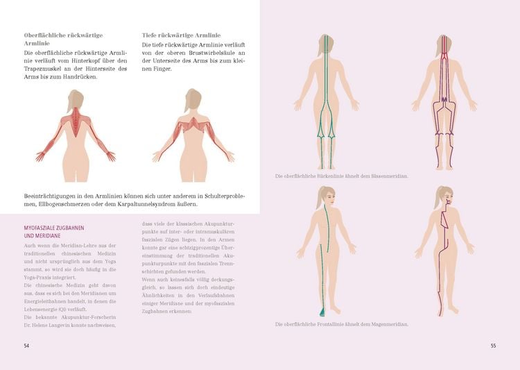 Produktbild: Das gro&szlig;e Faszien-Yoga Buch